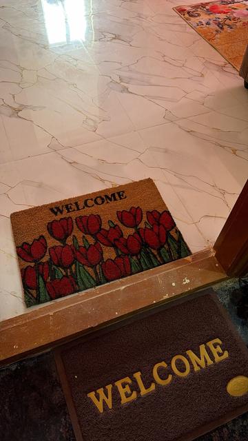 Entrance with welcome mats