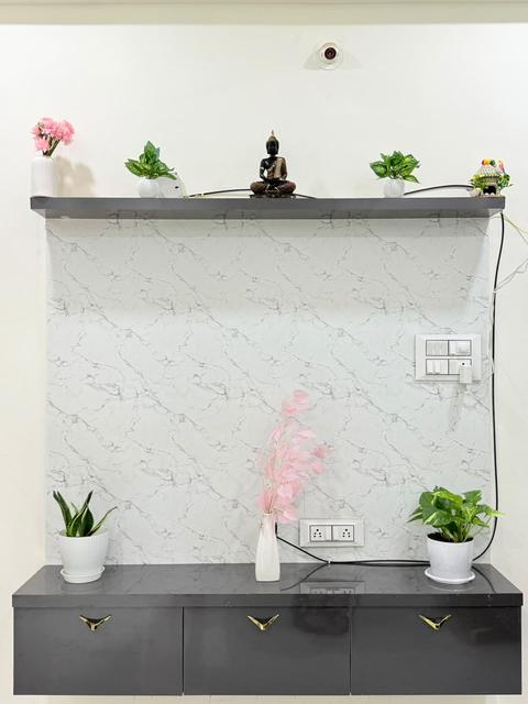 Living area console and wall shelf with plants