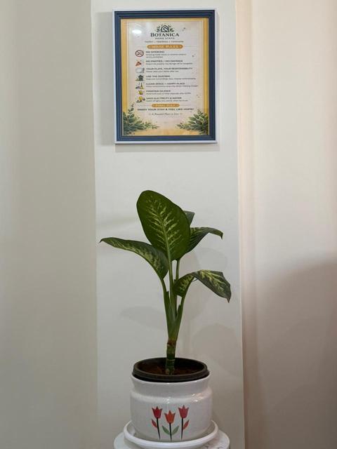 Framed notice and indoor plant in the hallway